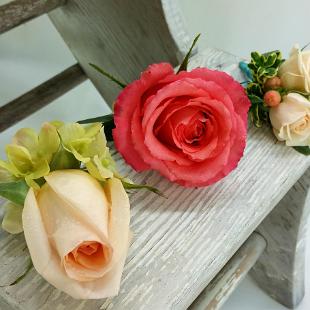 BF0688-Coral, Peach and Green Rose Boutonniere wjpg