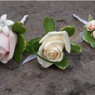 BF0398-Stylish Blush and Ivory Boutonnieres