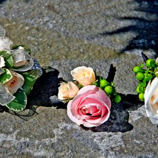 BF0485-Apricot, Ivory and Peach Corsage and Boutonnieres