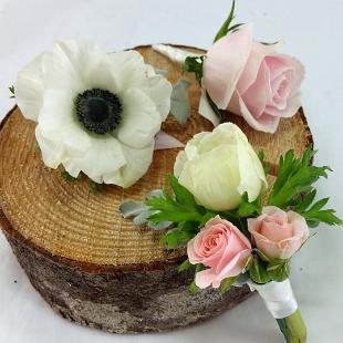 BF0679-White Anemone and Pink Rose Boutonnieres