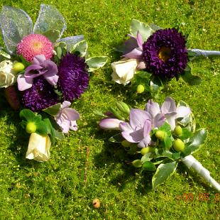 BF0104-Purple Garden Corsage and Boutonnieres