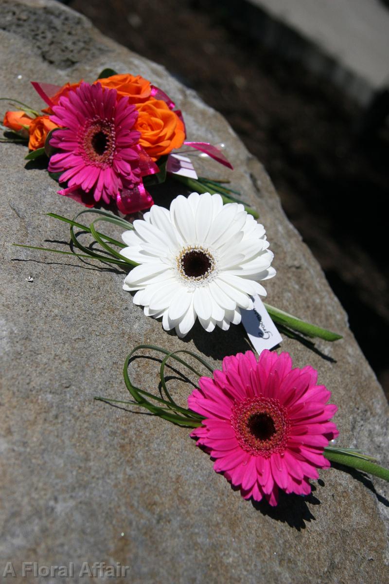 BF0575-Gerbera Daisy Boutonnieres and Corsage