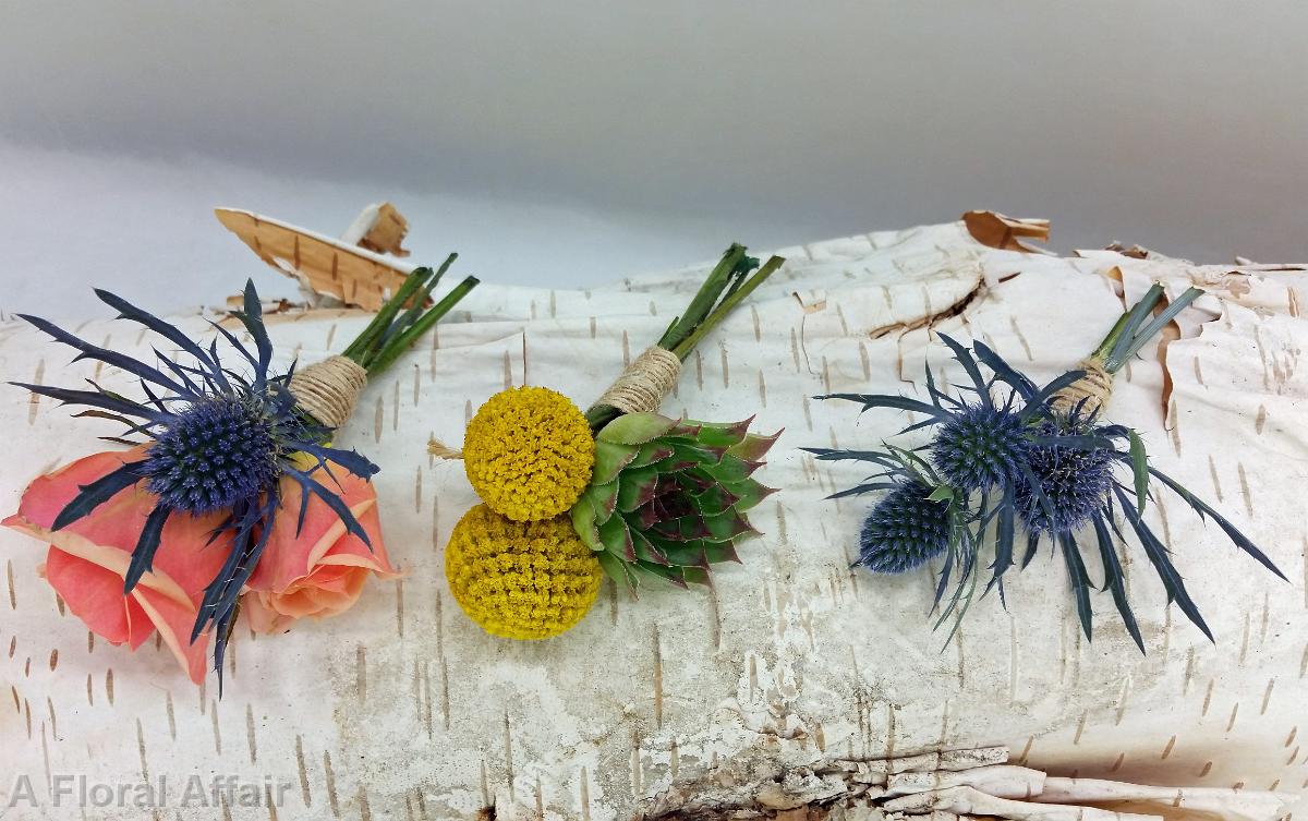 BF0737-Thistle and Succulent Boutonnieres