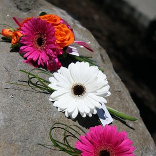 BF0575-Gerbera Daisy Boutonnieres and Corsage