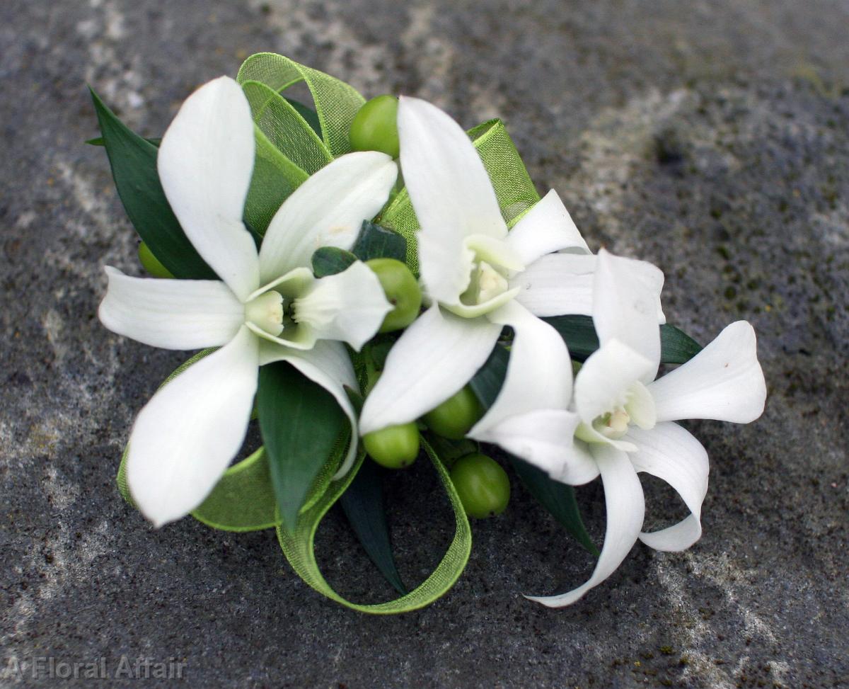 BF0516-White Orchid Corsage