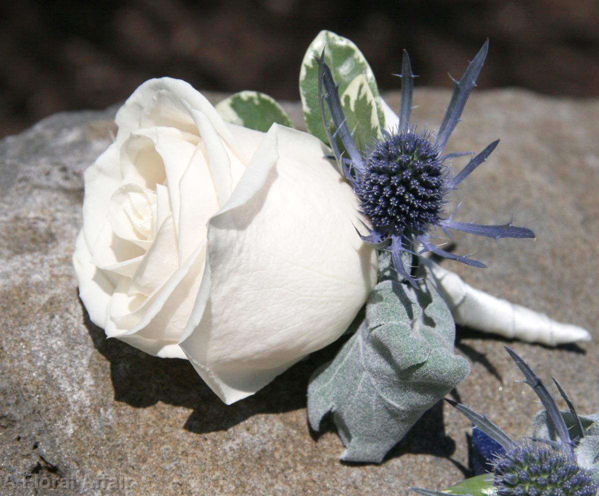 BF0573-European Ivory Rose Boutonniere