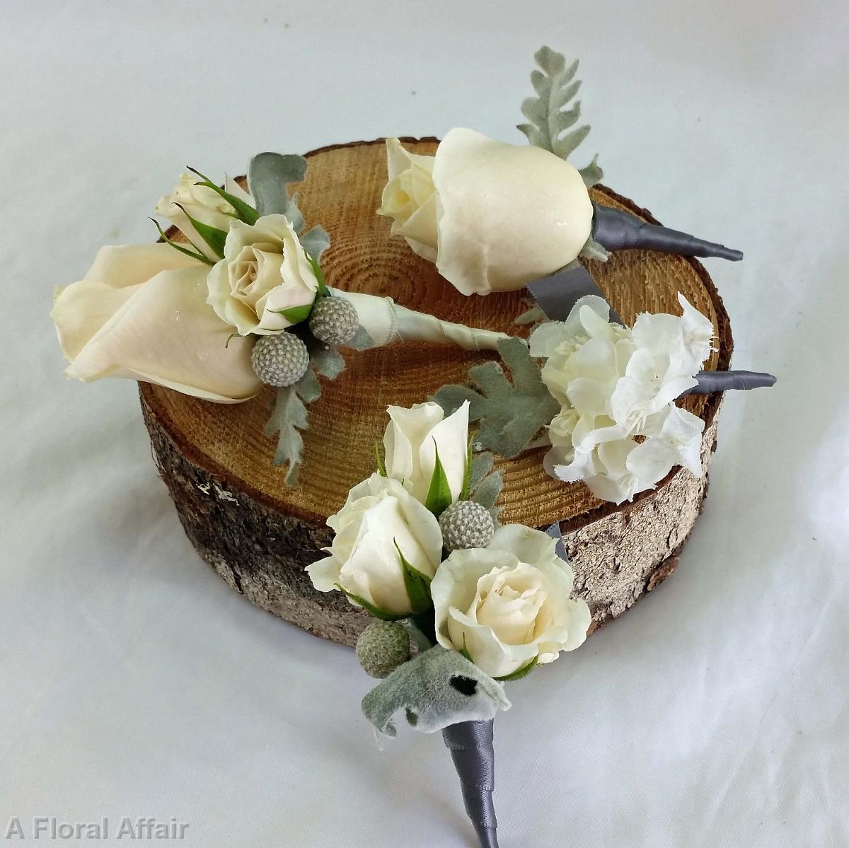 BF0675-Rose and Dusty Miller Boutonnieres