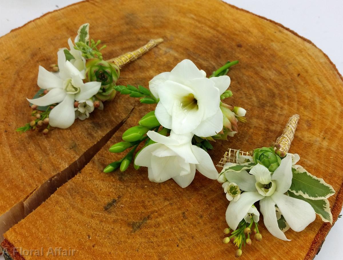 BF0716-White Flower and Succulent Boutonniere