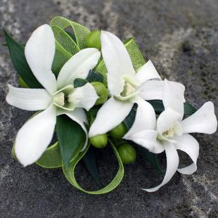BF0516-White Orchid Corsage