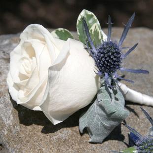 BF0573-European Ivory Rose Boutonniere
