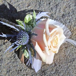 BF0585-Rose and Feather Boutonniere