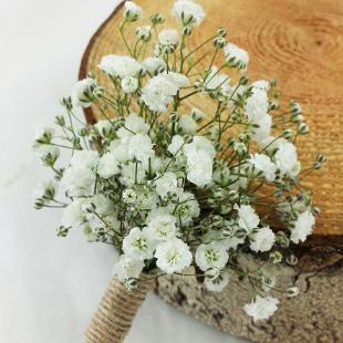 BF0671-Babys Breath Boutonniere