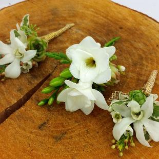 BF0716-White Flower and Succulent Boutonniere