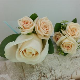 BF0721-Cream rose boutonnieres