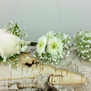 BF0732-White Rose, Button Mums and Babys Breath Boutonnieres