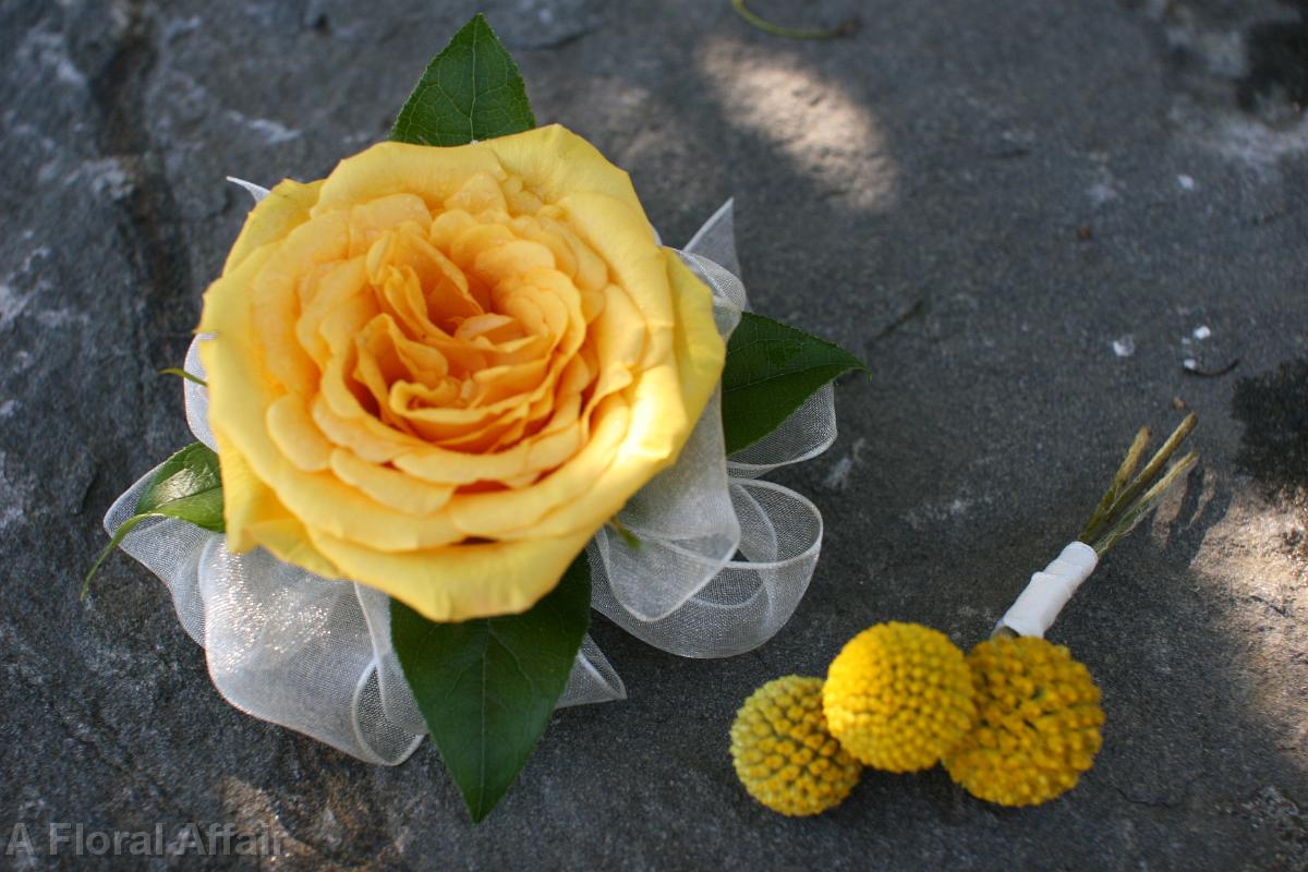 BF0500-Yellow Corsages and Boutonniere