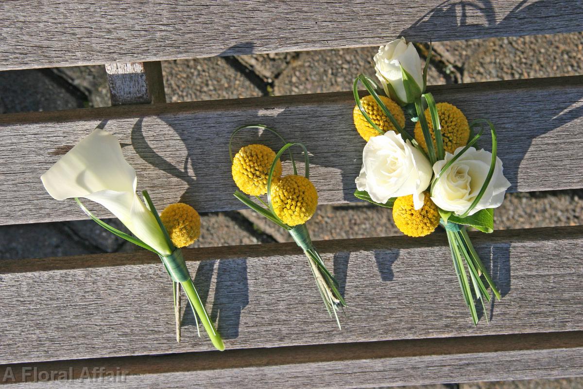 BF0588-Billy Ball Boutonnieres and Corsage