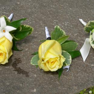 BF0320-Yellow Rose and White Stephanotis Boutonnieres