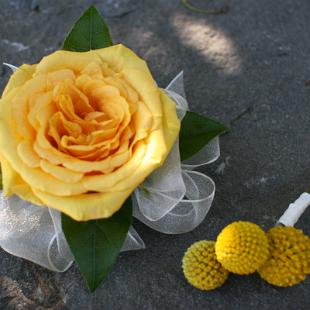 BF0500-Yellow Corsages and Boutonniere