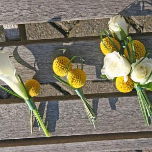 BF0588-Billy Ball Boutonnieres and Corsage